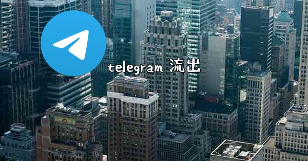 telegram 流出