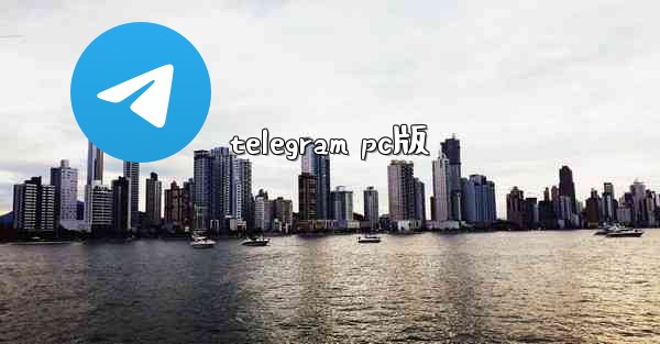 telegram pc版