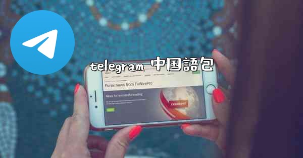 telegram 中国語包