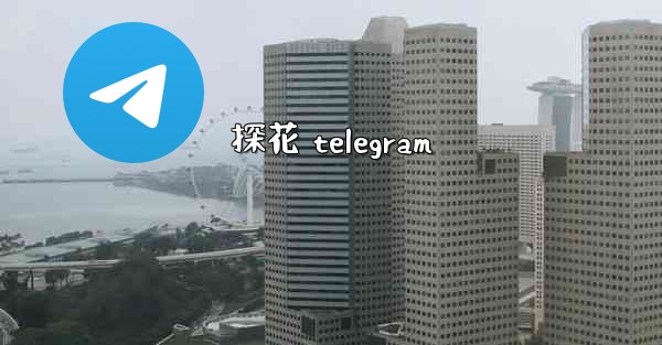 探花 telegram