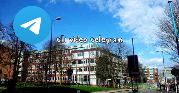 tải video telegram