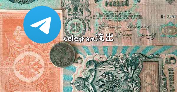telegram流出