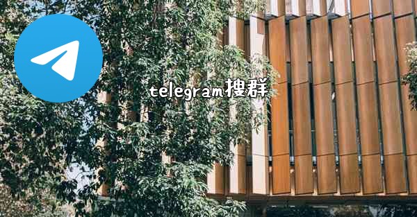 telegram搜群