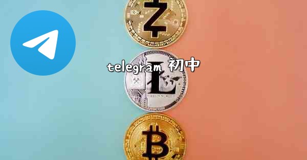 telegram 初中