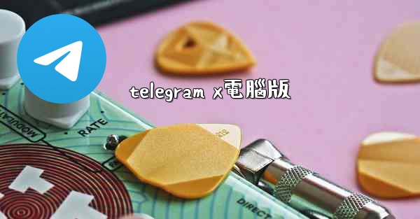 telegram x電腦版