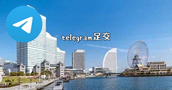 telegram足交