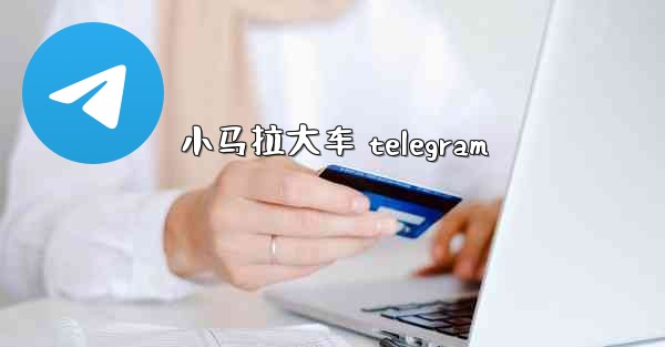 小马拉大车 telegram