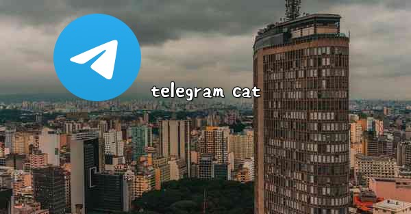 telegram cat