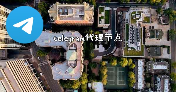 telegram代理节点