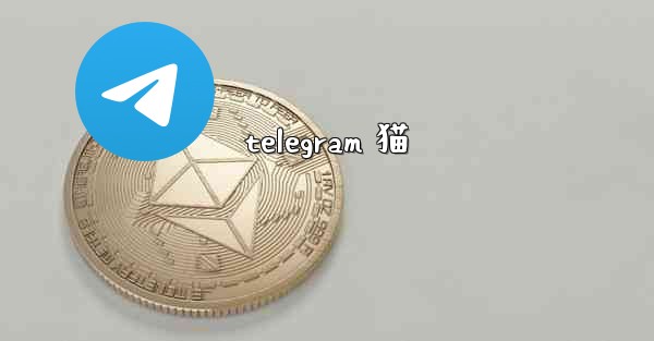 telegram 猫