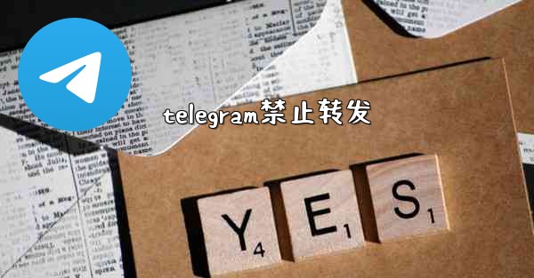 telegram禁止转发