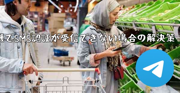 紙飛行機でSMS認証が受信できない場合の解決策
