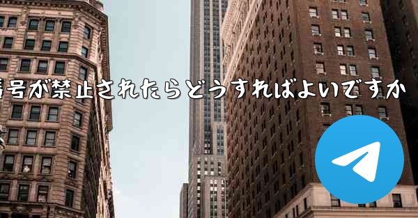 私の紙飛行機の番号が禁止されたらどうすればよいですか