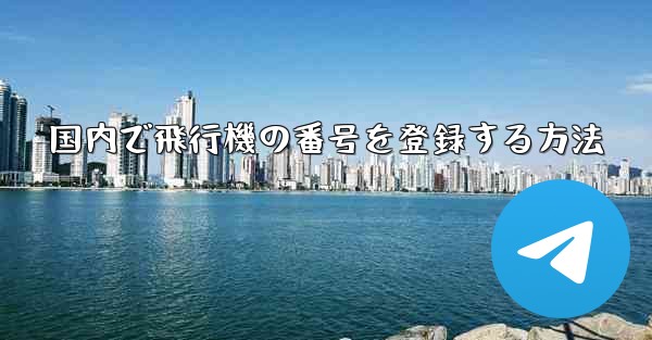 国内で飛行機の番号を登録する方法
