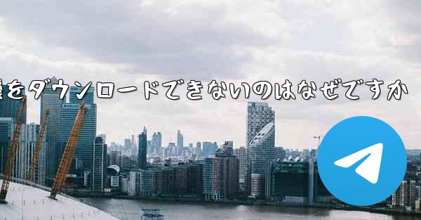 iPhone に飛行機をダウンロードできないのはなぜですか