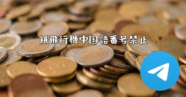 紙飛行機中国語番号禁止