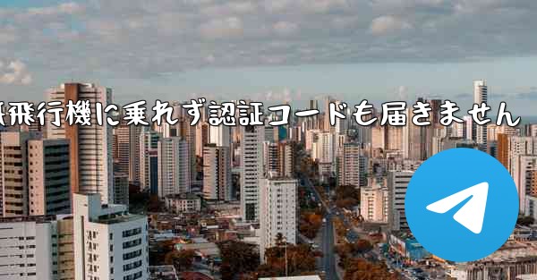 紙飛行機に乗れず認証コードも届きません