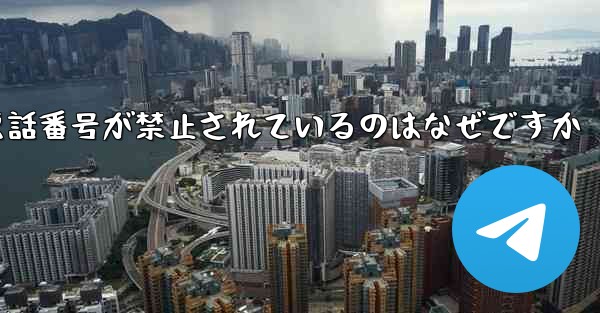 Paper Plane の携帯電話番号が禁止されているのはなぜですか