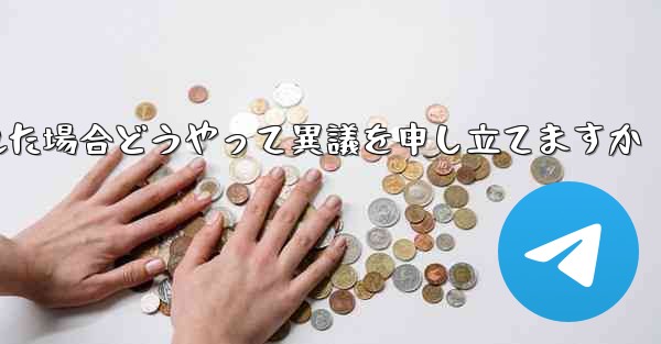 紙飛行機が禁止された場合どうやって異議を申し立てますか