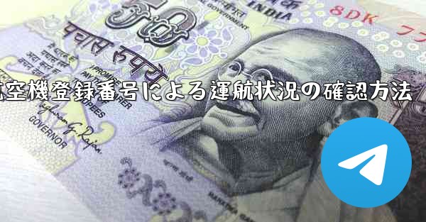 航空機登録番号による運航状況の確認方法