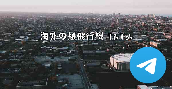 海外の紙飛行機 TikTok