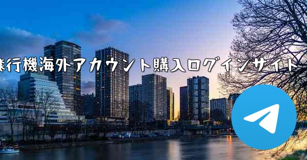 紙飛行機海外アカウント購入ログインサイト