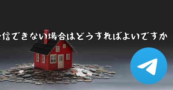 Paper Plane が国内で認証コードを受信できない場合はどうすればよいですか