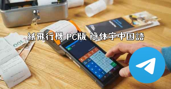 紙飛行機 PC版 簡体字中国語