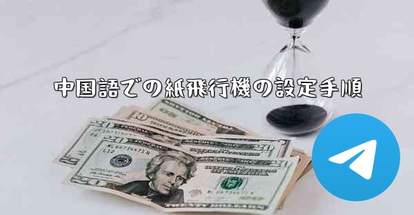 中国語での紙飛行機の設定手順