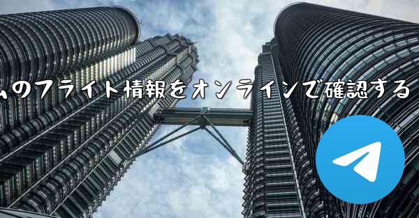 リアルタイムのフライト情報をオンラインで確認する