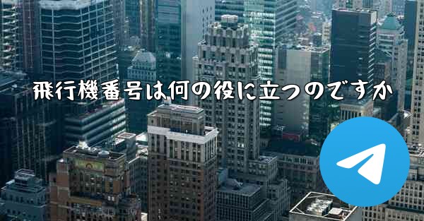 飛行機番号は何の役に立つのですか