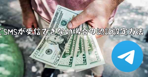 紙飛行機でSMSが受信できない場合の認証設定方法