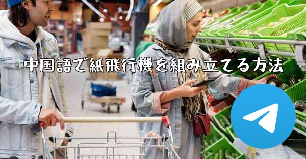 中国語で紙飛行機を組み立てる方法