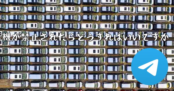 紙飛行機が禁止されたらどうすればいいですか