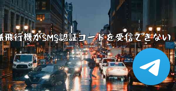 紙飛行機がSMS認証コードを受信できない