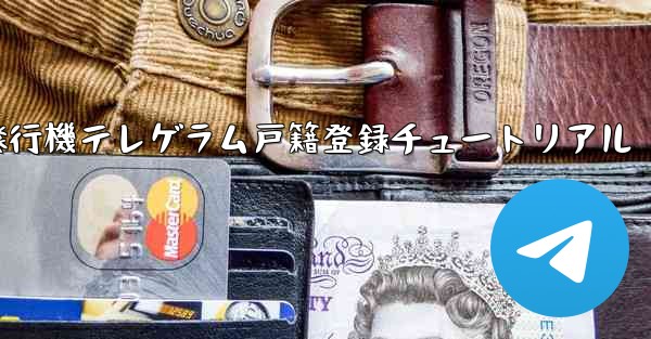 紙飛行機テレゲラム戸籍登録チュートリアル