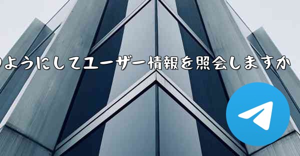 Paper Plane はどのようにしてユーザー情報を照会しますか