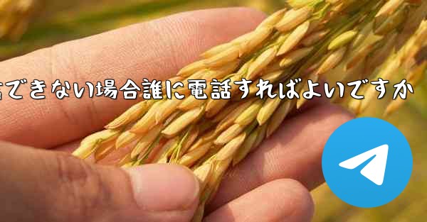 Paper Plane が確認テキスト メッセージを受信できない場合誰に電話すればよいですか