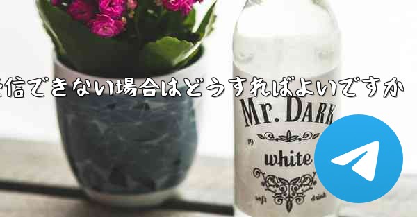 Paper Plane で SMS 認証コードを受信できない場合はどうすればよいですか