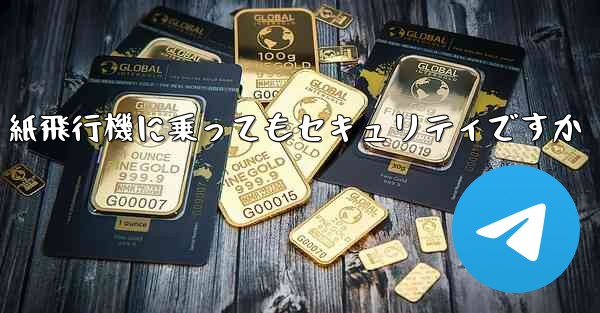 紙飛行機に乗ってもセキュリティですか