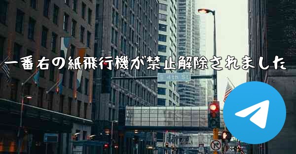 一番右の紙飛行機が禁止解除されました