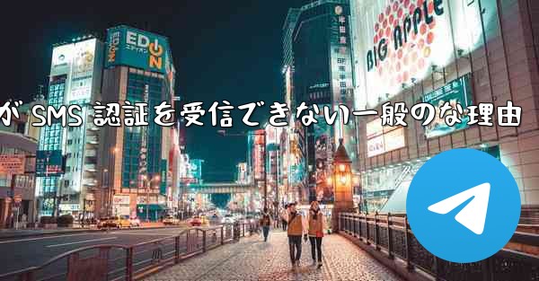 Paper Plane が SMS 認証を受信できない一般のな理由