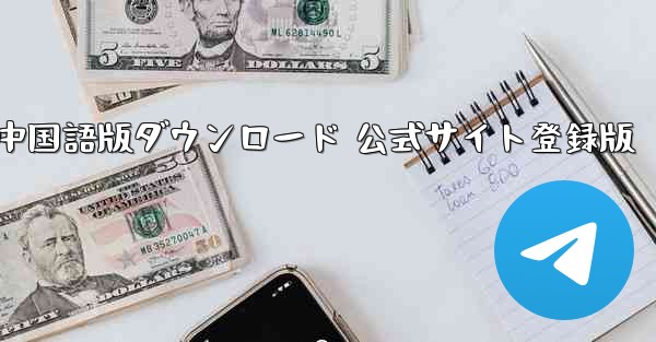 Paper Plane 中国語版ダウンロード 公式サイト登録版