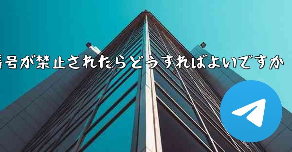 私の紙飛行機の番号が禁止されたらどうすればよいですか