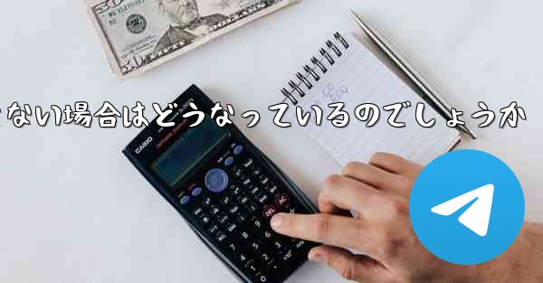 <b>Paper Plane が SMS 認証コードを受信できない場合はどうなっているのでしょうか</b>