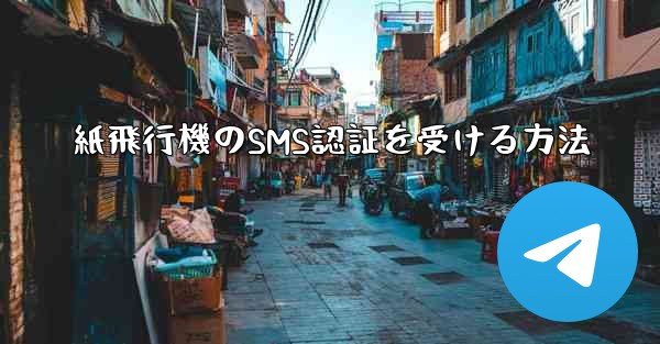 紙飛行機のSMS認証を受ける方法
