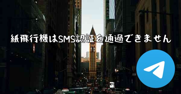 紙飛行機はSMS認証を通過できません