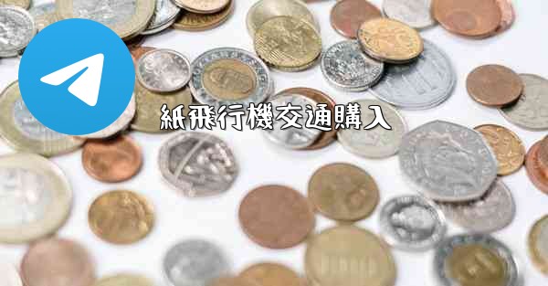 紙飛行機交通購入