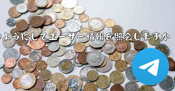 Paper Plane はどのようにしてユーザー情報を照会しますか