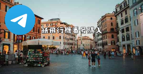 紙飛行機番号購入